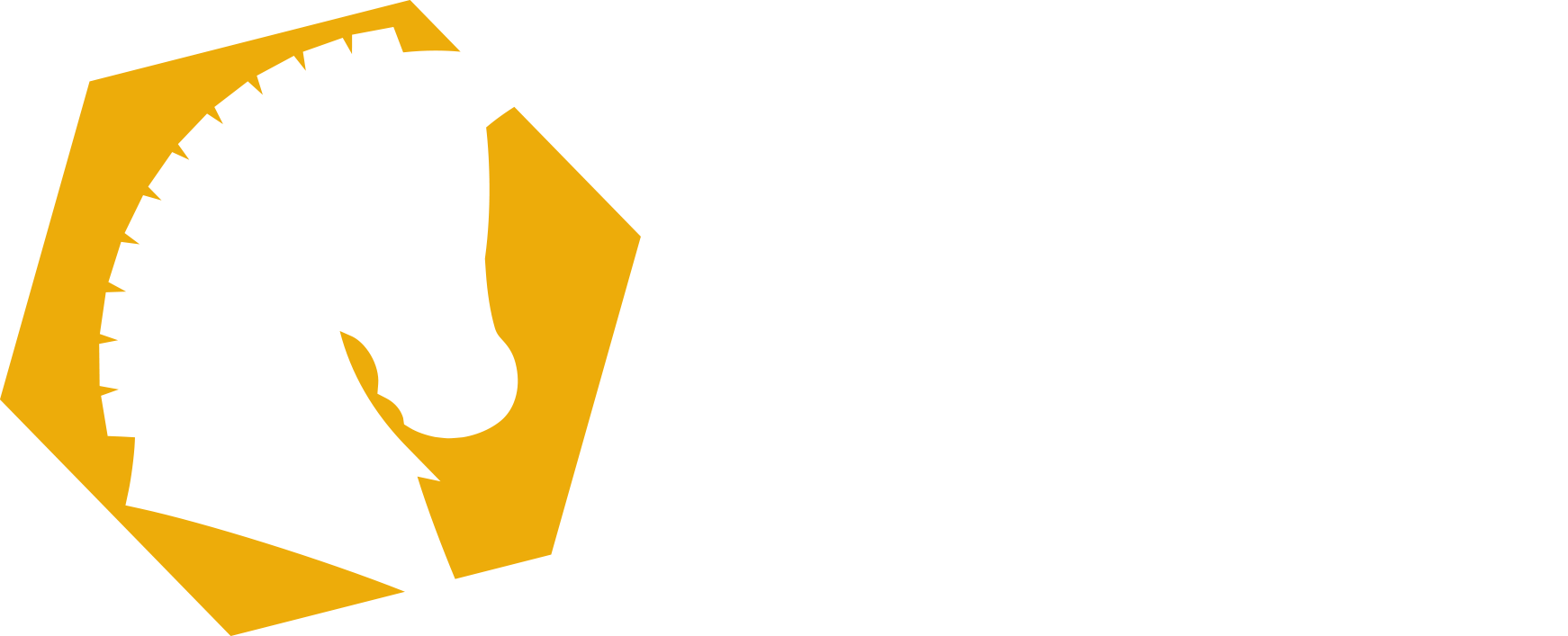 Workhorse Game Studio